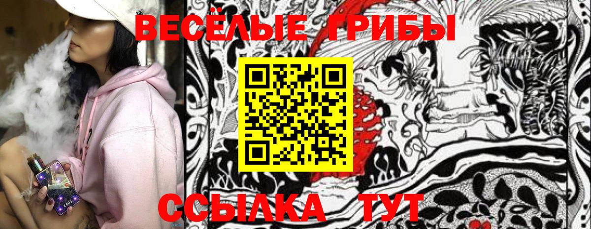 Галлюциногенные грибы Psilocybine cubensis Борзя